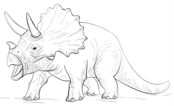 triceratop-coloring-page.png